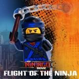 Lego Ninjago Flight Of The Ninja