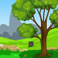 play Gameszone15 Escape The Lovebirds