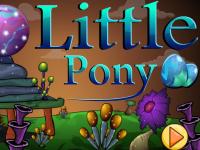 play Nsr Little Pony