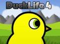 play Duck Life 4