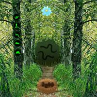 play Forest Escape