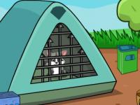 play Baby Raccoon Rescue Escape