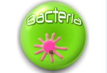 play The Bacteria