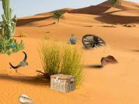 play Can You Escape Desert House 3