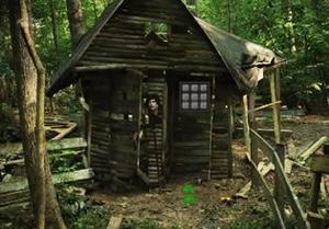 play Amazon Haunted Forest