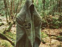 play Amazon Haunted Forest