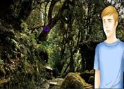 play Amazon Haunted Forest Escape