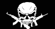play Intruder: Combat Training 2X
