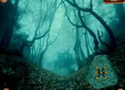 play Spooky Forest Escape
