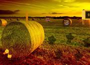 play Farm Land Escape