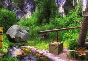 play Wild Forest