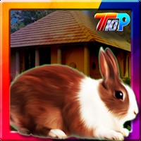 play Thanksgiving Rabbit Rescue