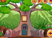 play Escape The Forest Door