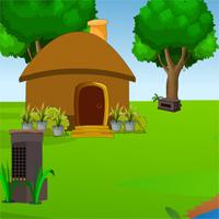 play Avmgames Viva Forest House Escape