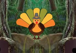 play Turkey Escape (8B Games