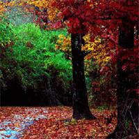 play Hidden-Numbers-41