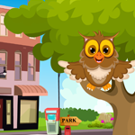 play Cute Owl Rescue