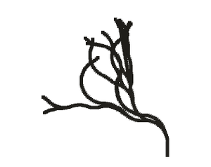 play Scribble Gen