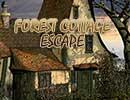 Forest Cottage Escape