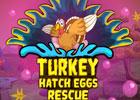 play Games4Escape Turkey Hatch Eggs Rescue