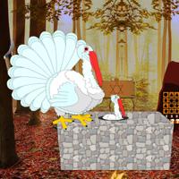 Escape Game: Save The White Turkey