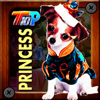 play Thanksgiving Rescue The Princess Pet
