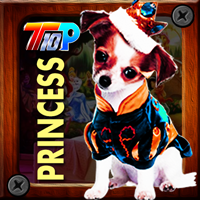 Thanksgiving Rescue The Princess Pet