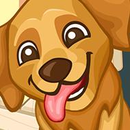 play Pet Connect