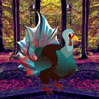 Fantasy Turkey Forest Escape