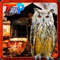 play Thanksgiving Rescue The Owl