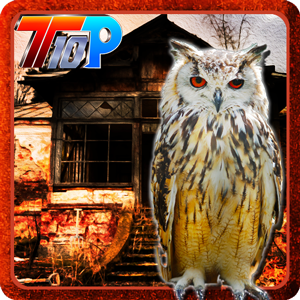 play Thanksgiving Rescue The Owl