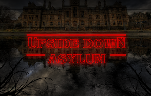 play Upside Down Asylum