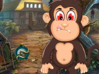 play Cute Monkey Rescue 3