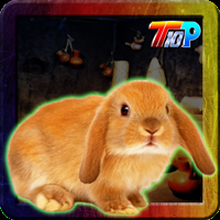 play Thanksgiving Rescue The Bunny