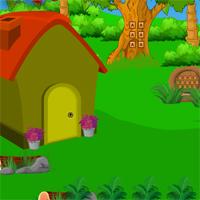 play Avmgames Escape From Greeny House