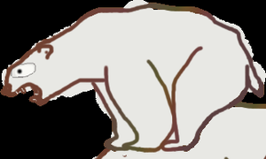 play Polar Bear Facts