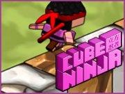 play Cube Ninja