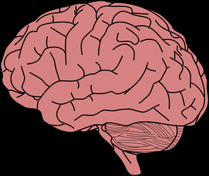 play Brainiac