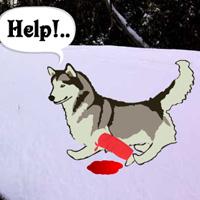 play Escape Game: Save The Sled Dog