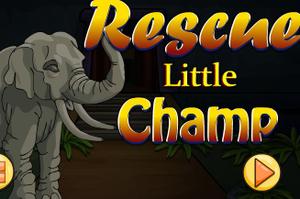 play Rescue Little Champ