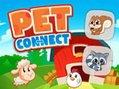 play Pet Connect