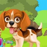 play Games4King Beagle Puppy Rescue