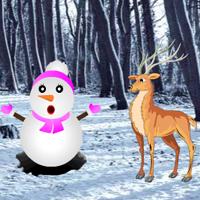 play Hidden Snow Forest