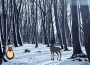 play Hidden Snow Forest Escape