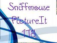 play Pictureit 178