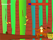 play Catch De Coconut
