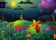 play The Circle 2-Flower World Escape