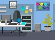 play Corporate Office