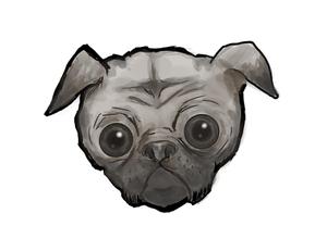 play My Greedy Dog Steve