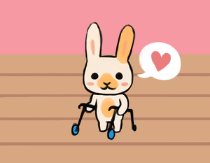 play Bunnykin'S Life